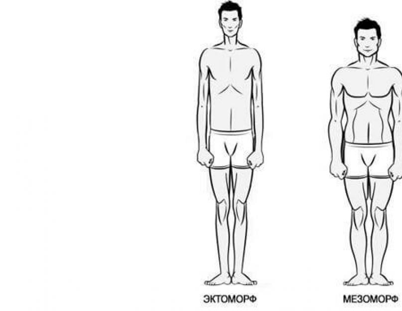 Типы телосложения человека: эктоморф, мезоморф, эндоморф. Как мужчине и женщине определить свое телосложение? Выглядит эндоморф