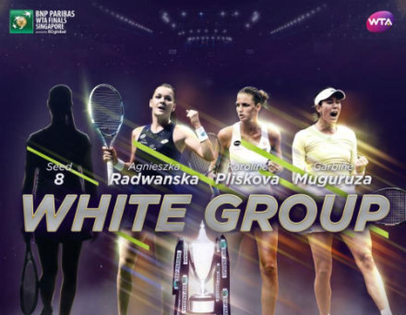 Женский турнир в сингапуре. WTA Finals - Shenzhen Парный разряд онлайн, результаты, сетки